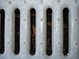 gitter