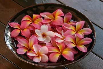 Printed roller blinds Frangipani bowl of plumeria flowers