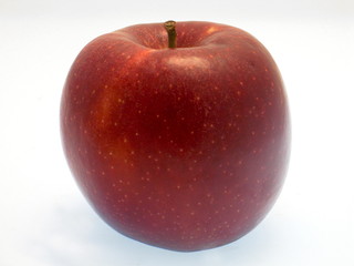 frischer roter Apfel