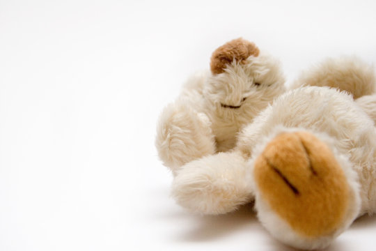 teddybaer