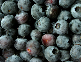 bunch of blueberries