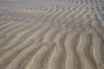 rippled sand background