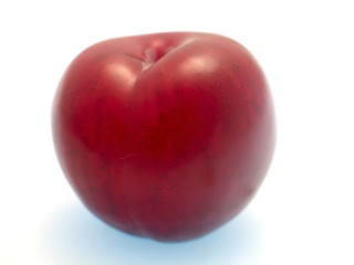 eine ganze frische rote Pflaume freigestellt auf weißem Hintergrund