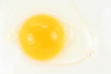 yolk