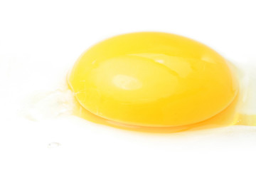 Fototapeta premium yolk