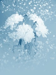 blue flowers in blue mist