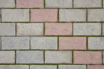 Fototapeta premium brick texture