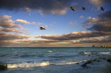 sunset over the seashore