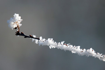 givre12