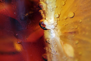 fresh drink with lemon and ice