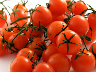 tomatoes