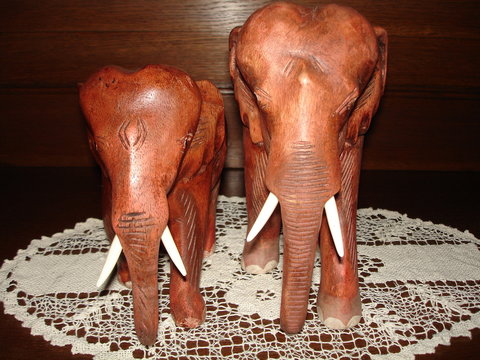 elefanten