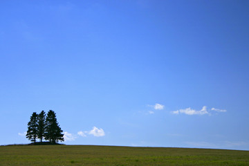 paysage de campagne 5