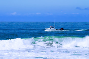 Fototapeta premium fishing boat trawling for fish and checking lobster traps
