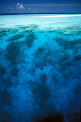 il mare delle maldive
