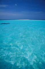 ari atoll, maldive