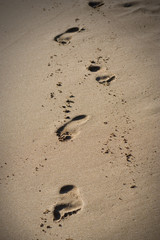 footsteps in the sand