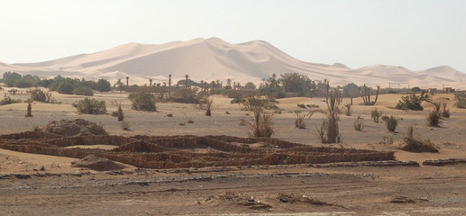 oasis marocain