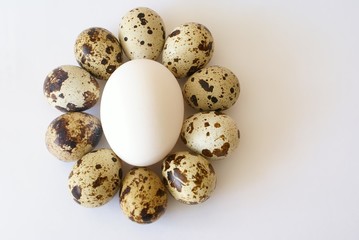 Fototapeta na wymiar eggs over white
