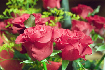 bouquet of roses