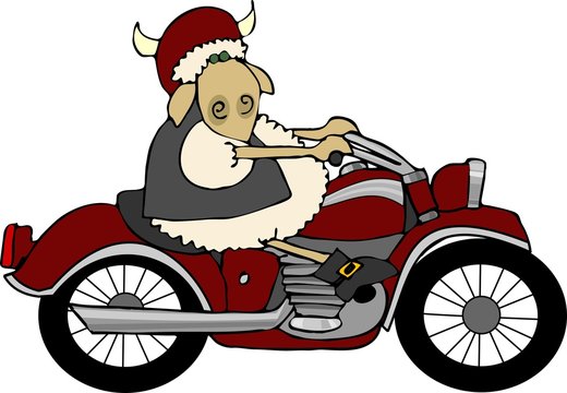 sheepy rider