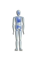 mannequin en plastique transparent