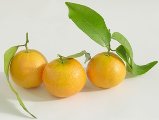 three mandarines