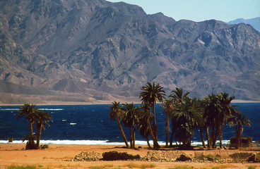 paysage d'aqaba (jordanie)