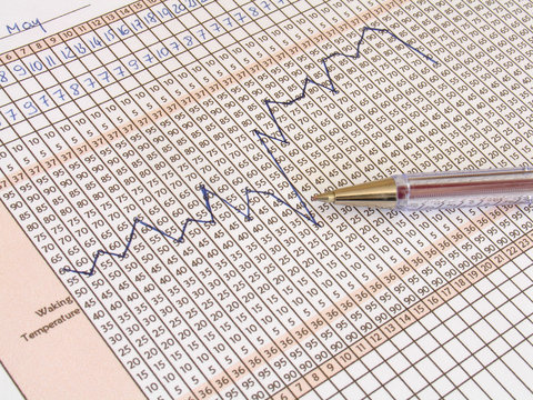 fertility chart