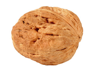 walnut