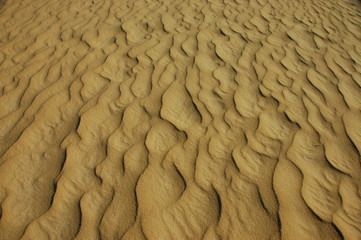 sand in a desert (2)