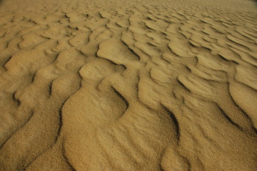 sand in a desert (1)