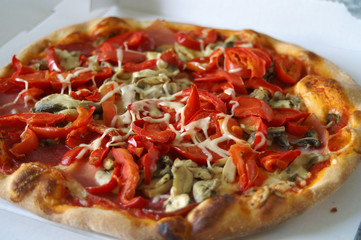 pizza vier jahreszeiten