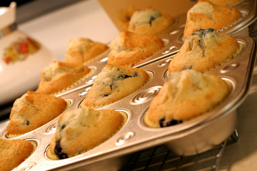 blueberry muffins