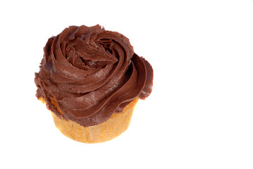 isolation of a chocolate frosted cupcake