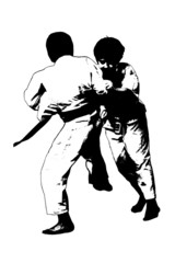 judo