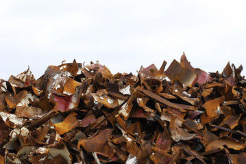 garbage dump