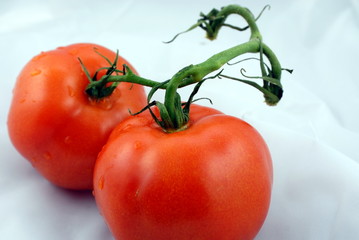 tomatoes