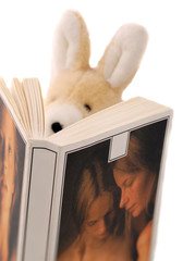erotic reading for a teddy rabbit