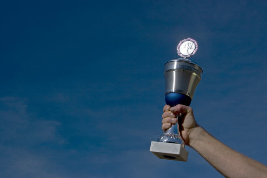 der sieger - Powered by Adobe