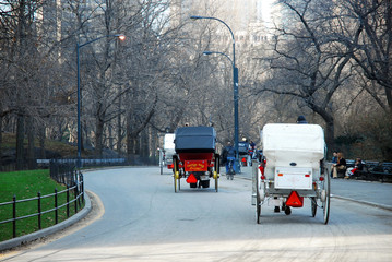 central park horse carriages - 2151322