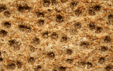 cracker background 1