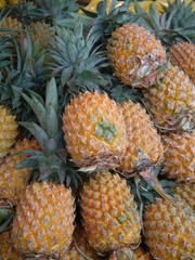 ananas victoria