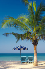 Obraz na płótnie Canvas palm krzesła i parasol