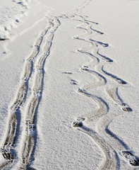 footsteps on the ice wreathed with snow