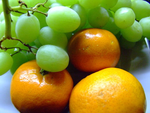 obstteller