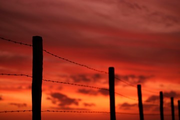 barbwire fence