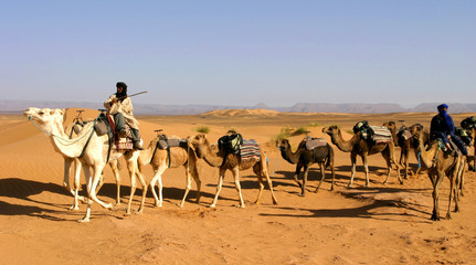 caravane de dromadaires dans le désert