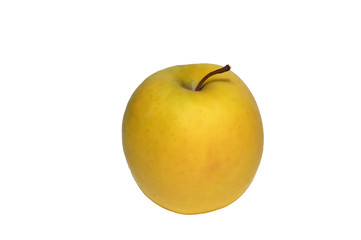 yellow apple