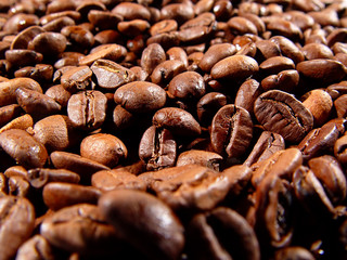coffee beans five